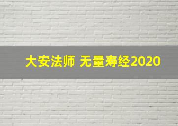 大安法师 无量寿经2020